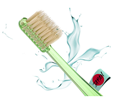 Smart Miswak