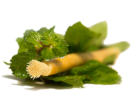 Siwak Miswak con sabor a menta