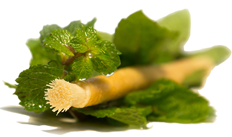 Siwak Miswak con sabor a menta