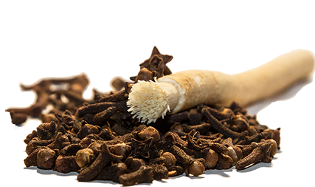 Siwak Miswak con sabor a clavo